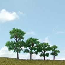 model trees